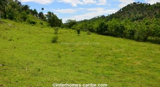 SOSUA ABAJO: LOT OF CURRENTLY 32,000 M² (7.91 ACRES), VERSATILE USABLE, LOCATED CLOSE TO SOSUA G-521