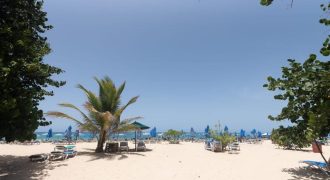 Two Fully Furnished Condos on the Beach – Investment Opportunity!